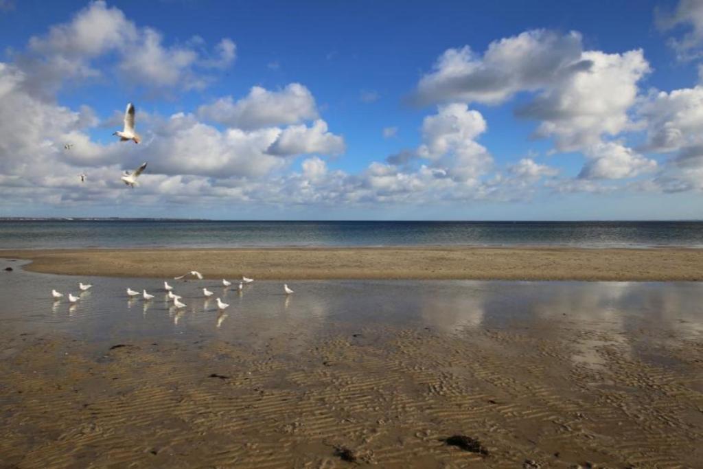Ferienwohnung Strandvilla Augustusbad 17 Scharbeutz Esterno foto